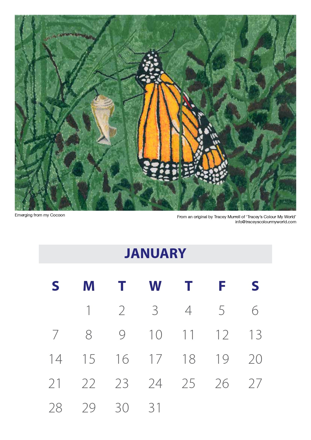 Tracey's 2024 Calendar