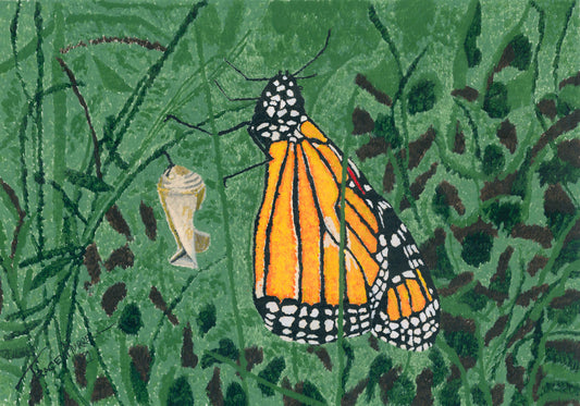 Emerging from my Cocoon (Original)