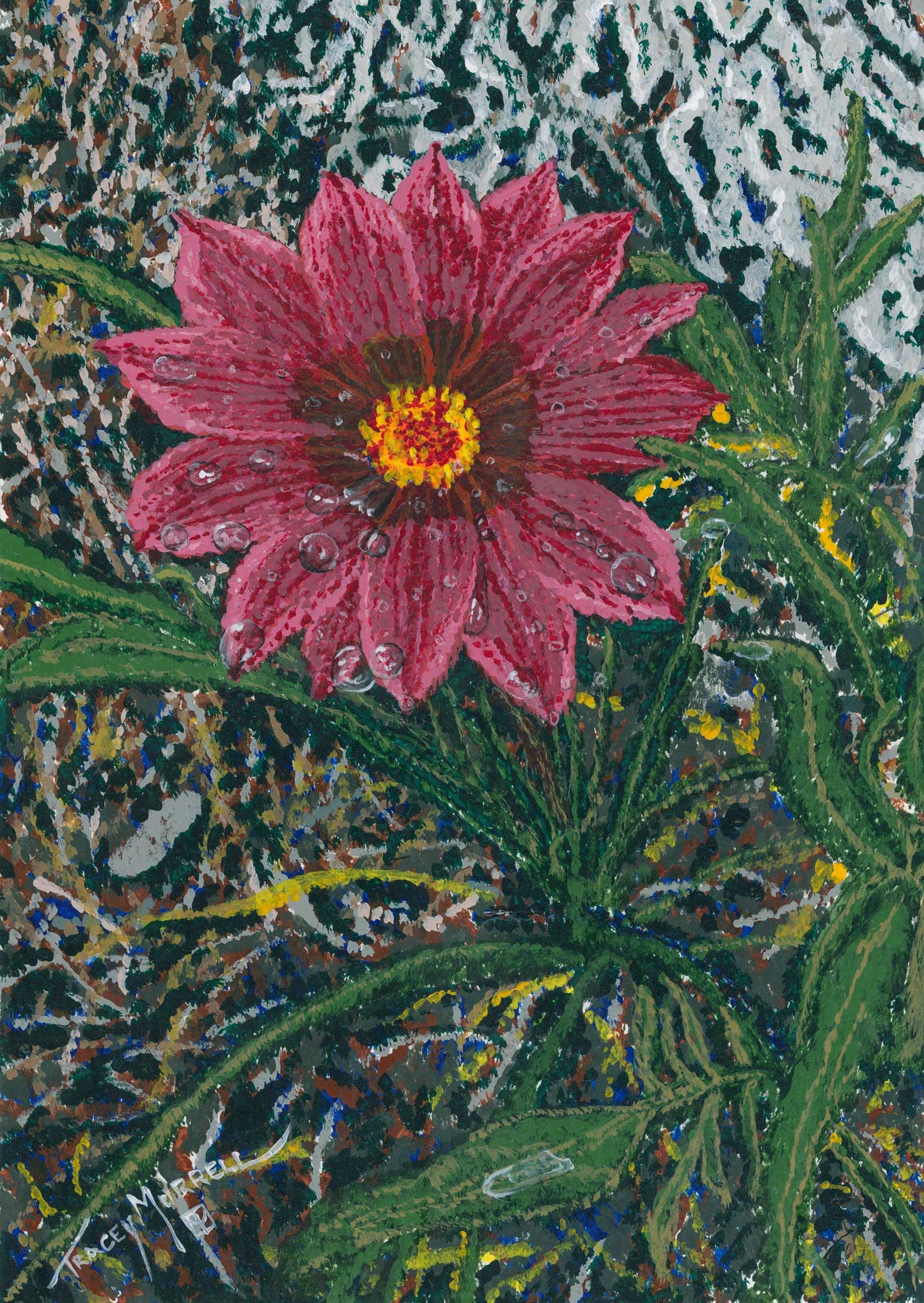 Gazania (Original)
