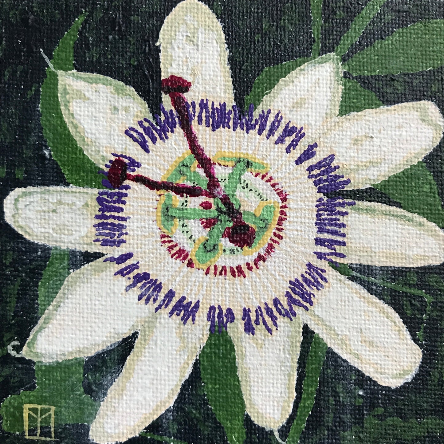 Passion Flower
