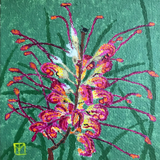 Grevillea