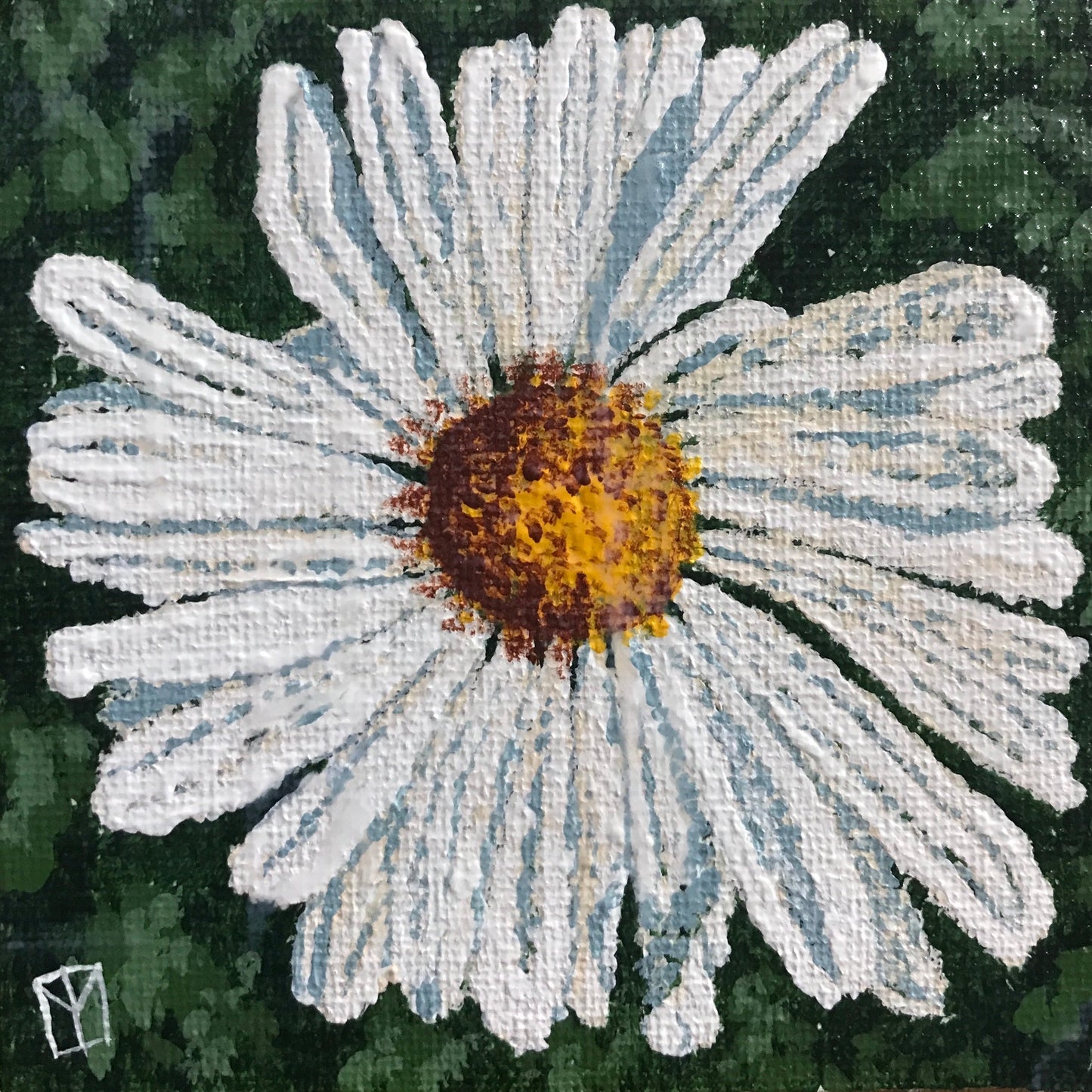 Daisy