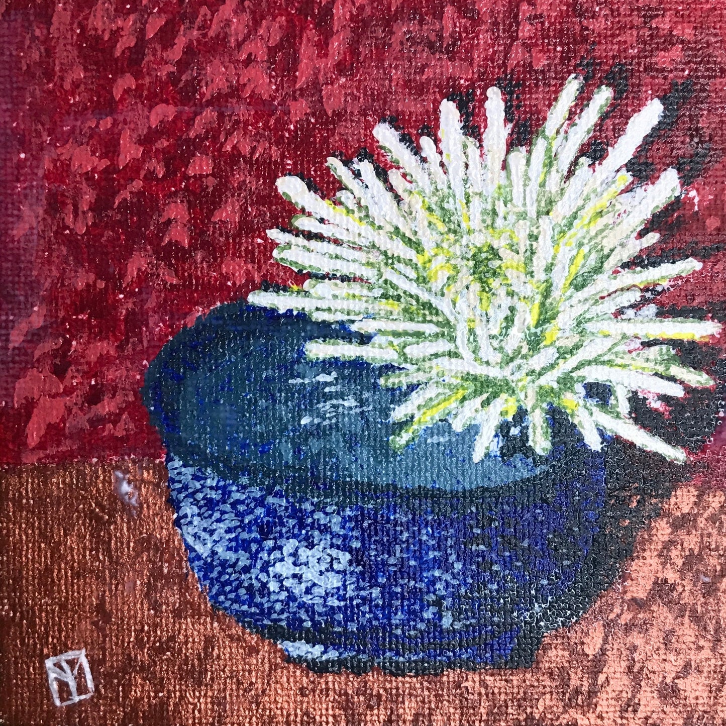 Chrysanthemum