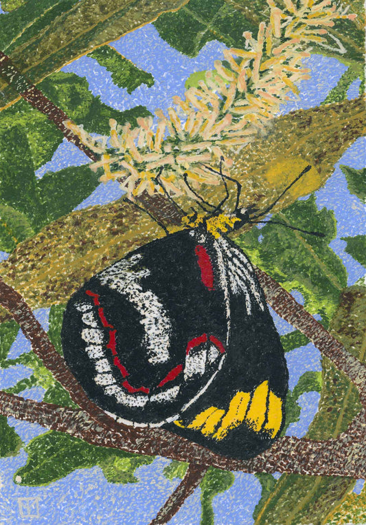 Just Living isn’t Enough, said the Butterfly
