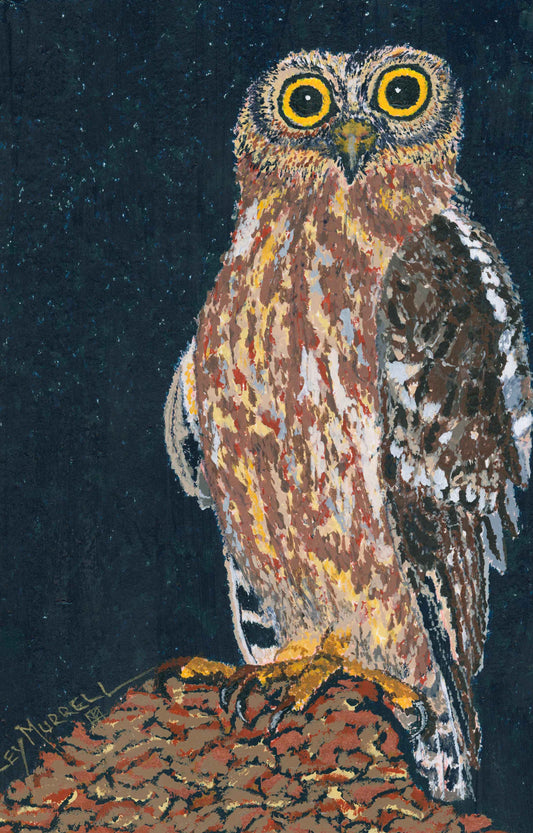 Barking Owl Card