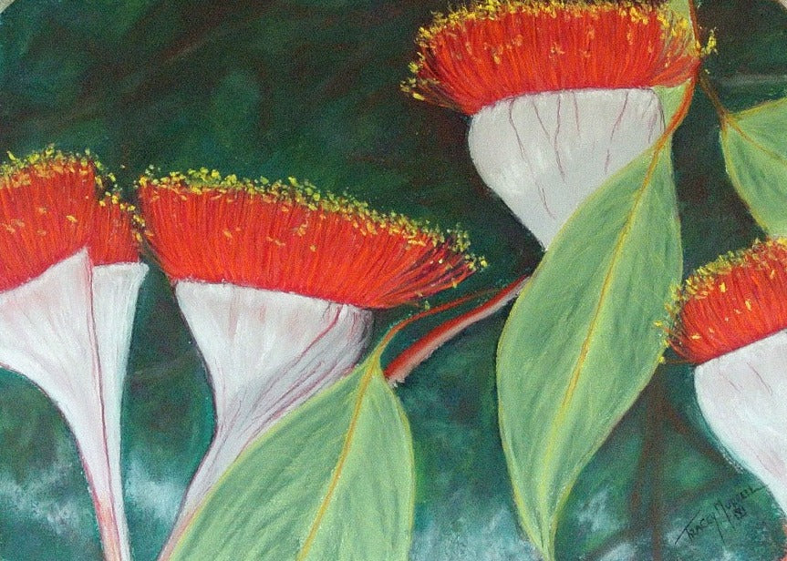 Gum Blossoms Print