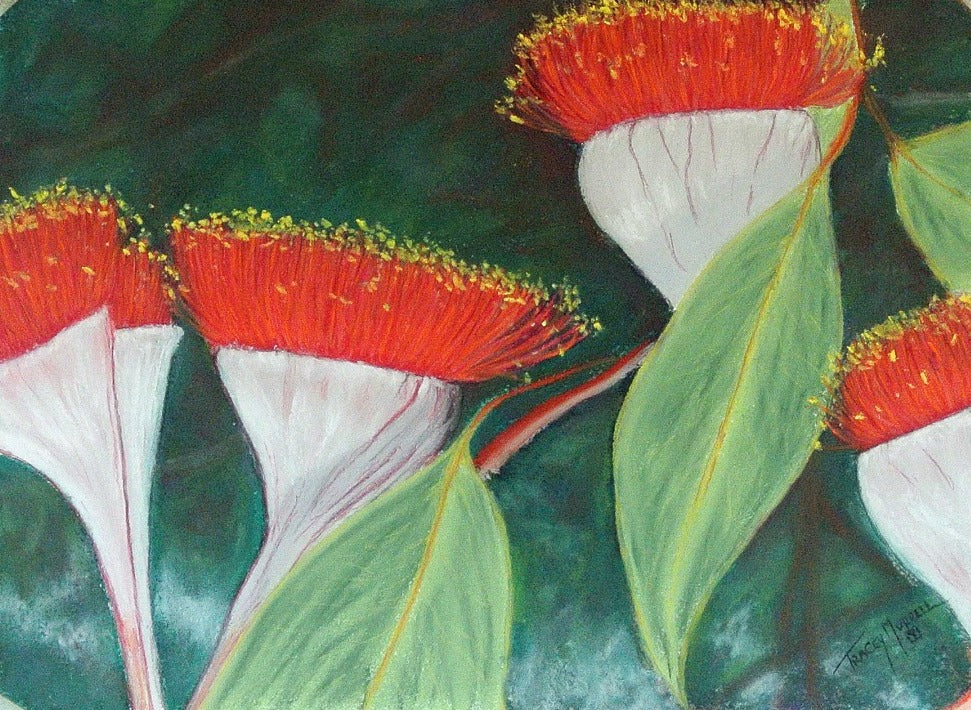 Gum Blossoms Card