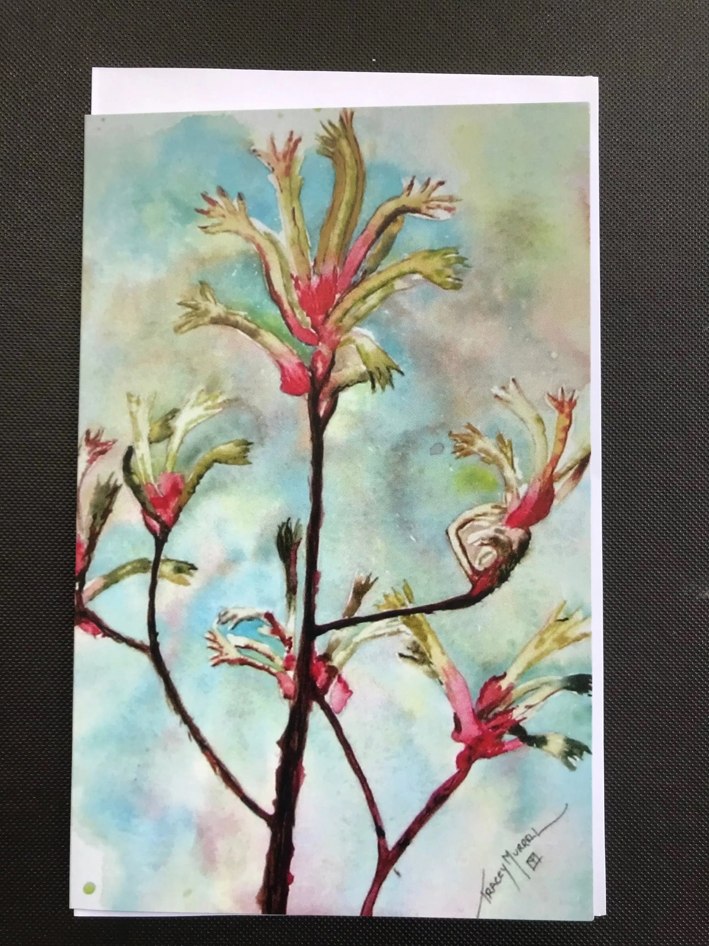 Kangaroo Paw Card - TraceysColourMyWorld
