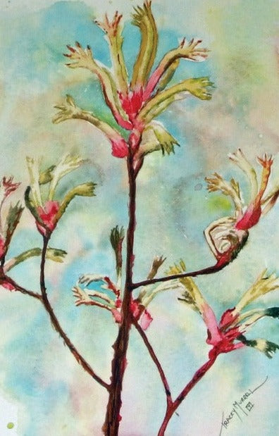 Kangaroo Paw Card