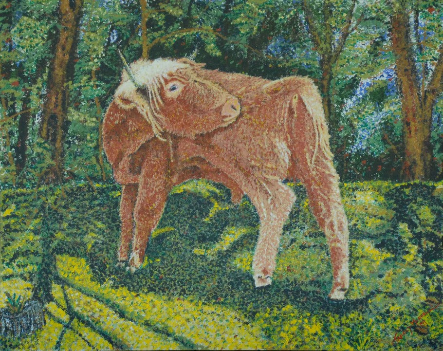 St George the Highland Calf print