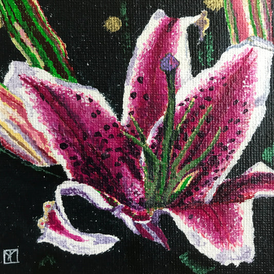 Tiger Lily