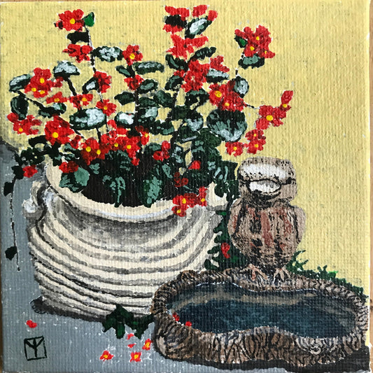 Begonias in a Pot